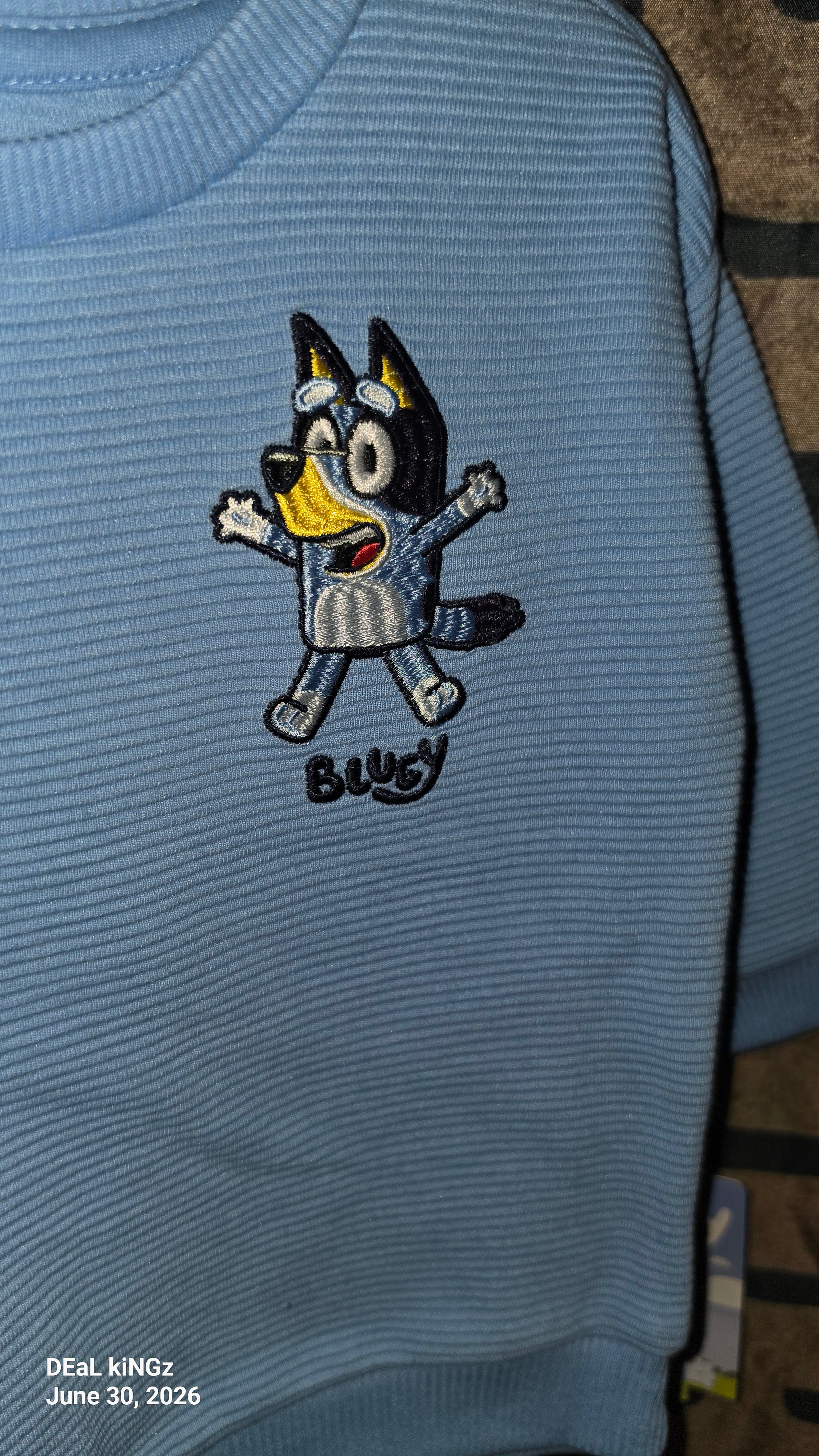 New With Tags (NWT) Boys Bluey 2-Piece Ribbed/Waffle Knit Sweatshirt and Jogger Pants Set size 12M